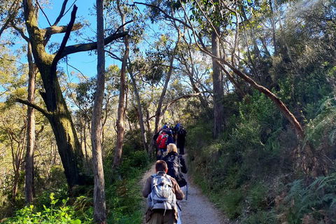 Self-Guided Waterfall Gully To Mount Lofty Hike From Adelaide - Accommodation Fremantle 1