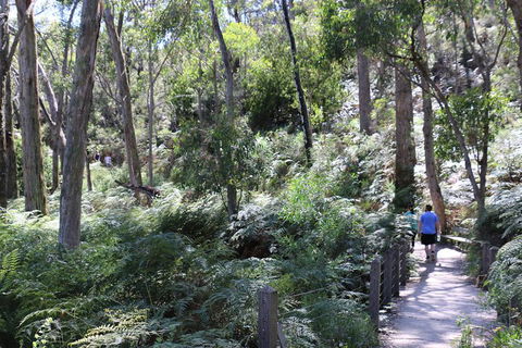Self-Guided Waterfall Gully To Mount Lofty Hike From Adelaide - Accommodation Fremantle 2