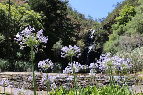 Self-Guided Waterfall Gully To Mount Lofty Hike From Adelaide - Accommodation Fremantle 3