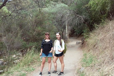 Self-Guided Waterfall Gully To Mount Lofty Hike From Adelaide - Accommodation Fremantle 4