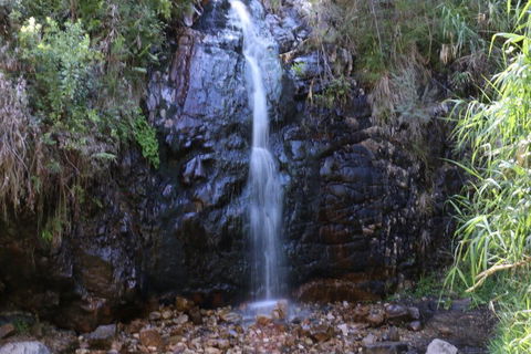 Self-Guided Waterfall Gully To Mount Lofty Hike From Adelaide - Accommodation Fremantle 5