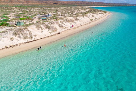 Ningaloo In A Day - Full Day Hike And Snorkel Tour With Lunch - Accommodation Fremantle 0