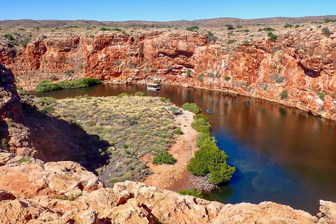 Ningaloo In A Day - Full Day Hike And Snorkel Tour With Lunch - Accommodation Fremantle 2