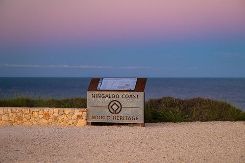 Ningaloo In A Day - Full Day Hike And Snorkel Tour With Lunch - Accommodation Fremantle 5