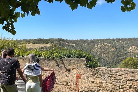 Private Mclaren Vale Wine Tour - Accommodation Fremantle 2