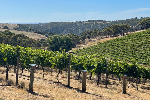 Private Mclaren Vale Wine Tour - Accommodation Fremantle 3