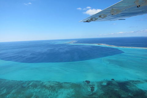 Shipwreck Special Full Day Tour Of The Abrolhos Islands - Accommodation Fremantle 2