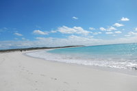 Shipwreck Special Nature Tour/Half Day Tour, Geraldton