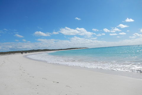 Shipwreck Special Nature Tour/Half Day Tour - Accommodation Fremantle 0