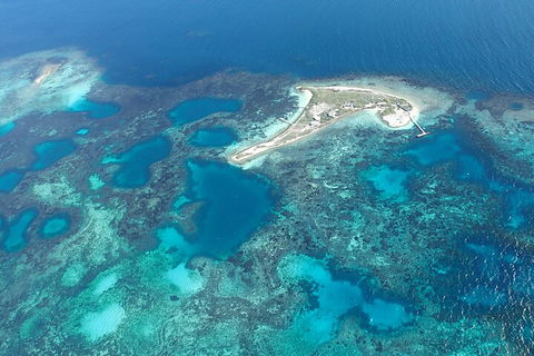 Shipwreck Special Nature Tour/Half Day Tour - Accommodation Fremantle 5