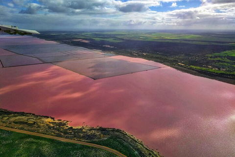 Kalbarri, Pink Lake And Abrolhos Islands Nature Tour - Accommodation Fremantle 1