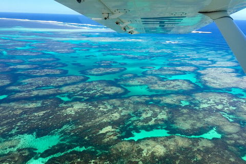 Kalbarri, Pink Lake And Abrolhos Islands Nature Tour - Accommodation Fremantle 5