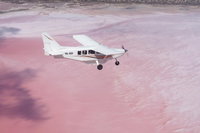 Pink Lake  Abrolhos Islands Nature Tour, Geraldton