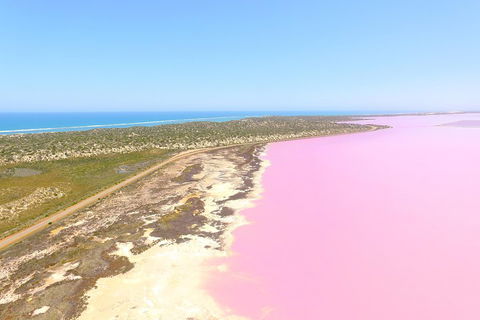 Pink Lake + Abrolhos Islands Scenic Flight - Accommodation Fremantle 4