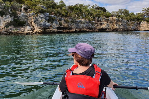 Cliffs And Caves Kayak Tour In Swan River - Accommodation Fremantle 0