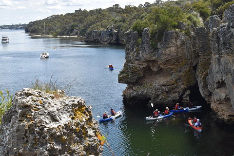 Cliffs And Caves Kayak Tour In Swan River - Accommodation Fremantle 5