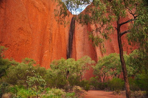 Uluru Sunrise And Guided Base Walk - Accommodation Fremantle 3