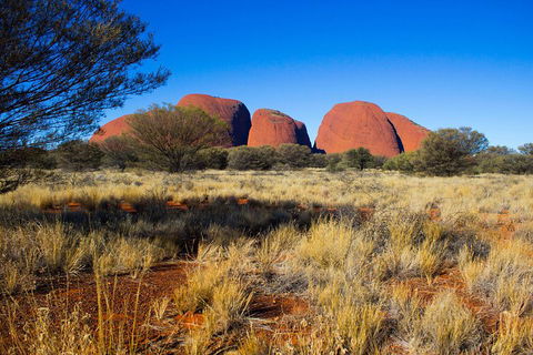 Kata Tjuta Sunrise And Valley Of The Winds Half-Day Trip - Accommodation Fremantle 1