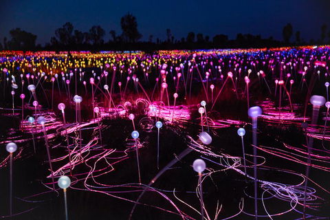 Uluru (Ayers Rock) Field Of Light Sunrise Tour - Accommodation Fremantle 1