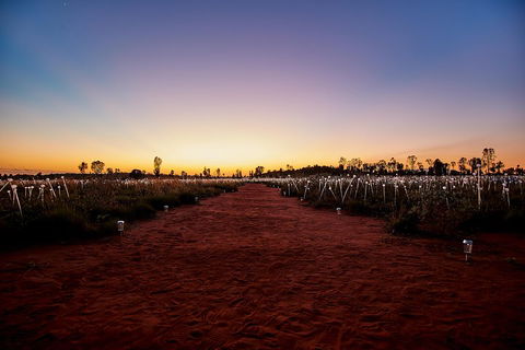 Uluru (Ayers Rock) Field Of Light Sunrise Tour - Accommodation Fremantle 3
