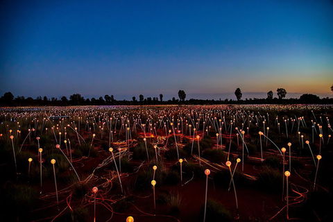 Uluru (Ayers Rock) Field Of Light Sunrise Tour - Accommodation Fremantle 4