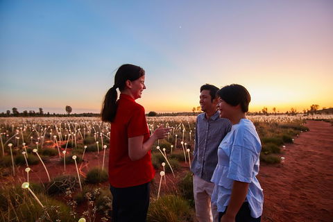 Uluru (Ayers Rock) Field Of Light Sunrise Tour - Accommodation Fremantle 5