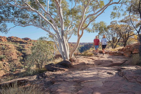 3-Day Tour From Uluru (Ayers Rock) To Alice Springs Via Kings Canyon - Accommodation Fremantle 1