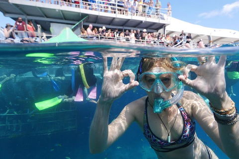 Great Barrier Reef Day Cruise From Cairns Including Snorkeling And Marine Biologist Presentation - Accommodation Fremantle 0