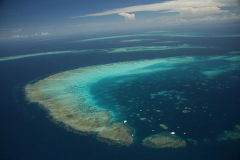 Great Barrier Reef Day Cruise From Cairns Including Snorkeling And Marine Biologist Presentation - Accommodation Fremantle 1