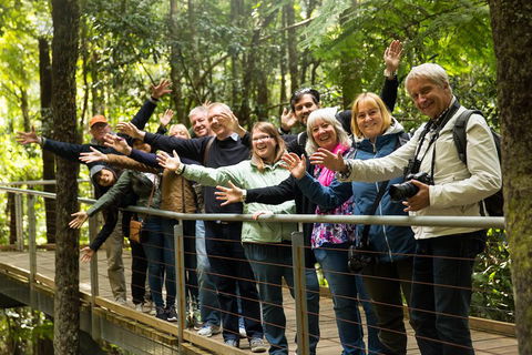 All Inclusive Blue Mountains Small-Group Day Trip From Sydney - Accommodation Fremantle 5