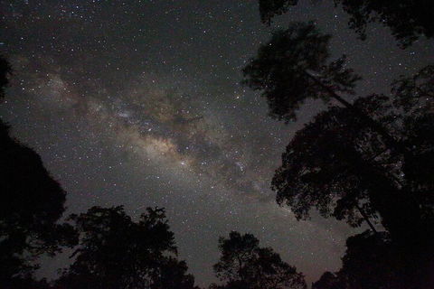 Evening Rainforest & Glow Worm Experience - Accommodation Fremantle 4
