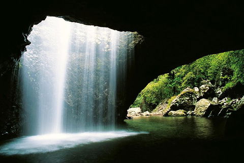 Natural Bridge & Springbrook Waterfalls Tour - Accommodation Fremantle 0