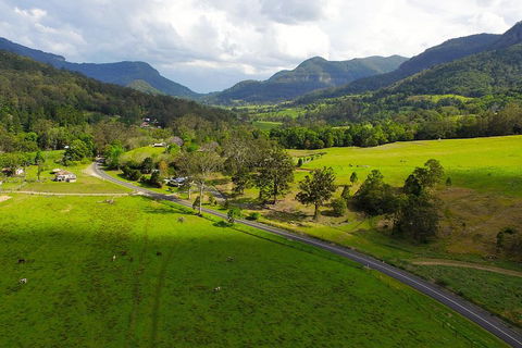 Natural Bridge & Springbrook Waterfalls Tour - Accommodation Fremantle 2