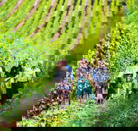 Tasmanian Wine Tour - Accommodation Fremantle
