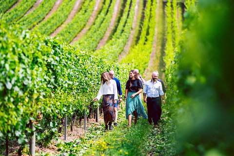 Tasmanian Wine Tour - Accommodation Fremantle 0