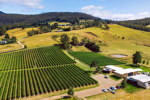Tasmanian Wine Tour - Accommodation Fremantle 4