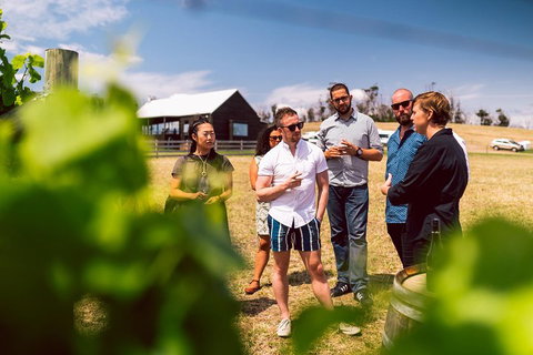 Tasmanian Wine Tour - Accommodation Fremantle 5