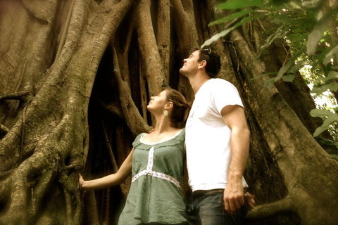 Daintree And Cape Tribulation Full Day Guided Tour - Accommodation Fremantle 5