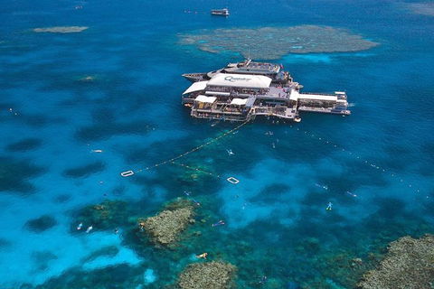 Quicksilver Outer Great Barrier Reef Snorkel Cruise From Palm Cove - Accommodation Fremantle 1