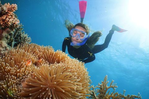 Quicksilver Outer Great Barrier Reef Snorkel Cruise From Palm Cove - Accommodation Fremantle 2