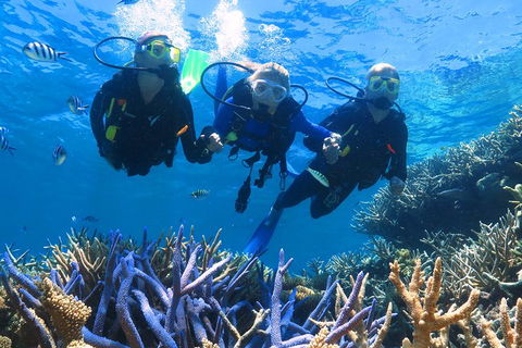 Quicksilver Outer Great Barrier Reef Snorkel Cruise From Palm Cove - Accommodation Fremantle 3