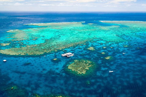 Quicksilver Outer Great Barrier Reef Snorkel Cruise From Palm Cove - Accommodation Fremantle 4