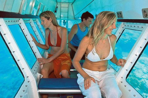 Quicksilver Outer Great Barrier Reef Snorkel Cruise From Palm Cove - Accommodation Fremantle 5