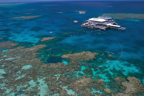 Quicksilver Outer Great Barrier Reef Snorkel Cruise From Port Douglas - Accommodation Fremantle 3