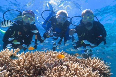 Quicksilver Outer Great Barrier Reef Snorkel Cruise From Port Douglas - Accommodation Fremantle 4