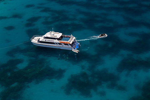 Quicksilver Dive 4 Day PADI Learn To Dive Course - Accommodation Fremantle 1