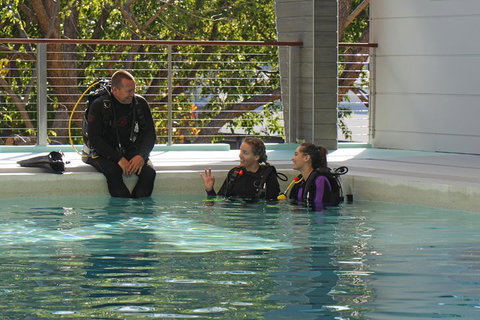 Quicksilver Dive 4 Day PADI Learn To Dive Course - Accommodation Fremantle 3