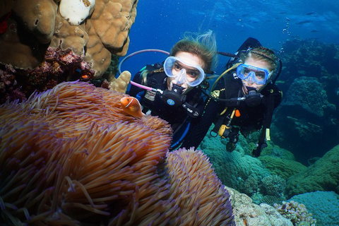 Quicksilver Dive 4 Day PADI Learn To Dive Course - Accommodation Fremantle 4