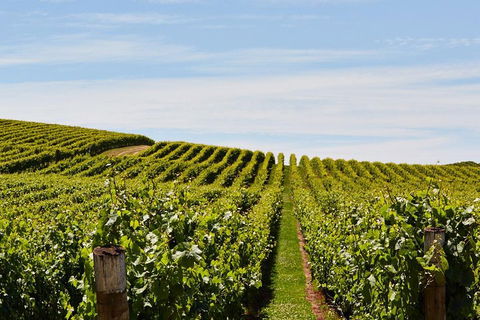 West Tamar Wine Tour - Accommodation Fremantle 2