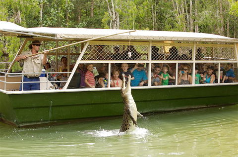 Hartley's Crocodile Adventure Half-Day Tour - Accommodation Fremantle 0